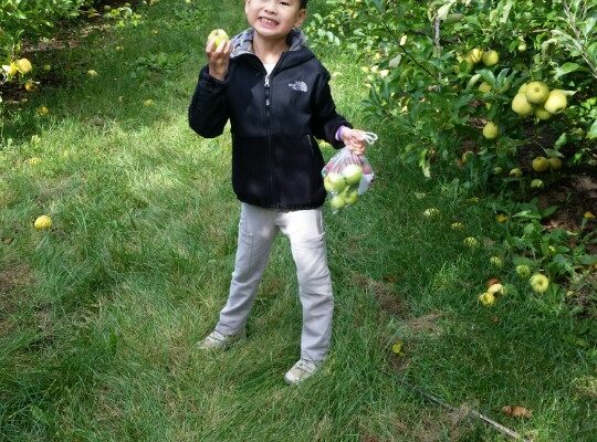 KakaoTalk_20171015_175211890