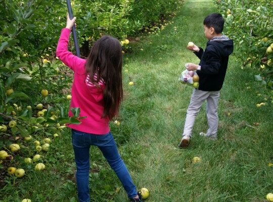 KakaoTalk_20171015_175214283