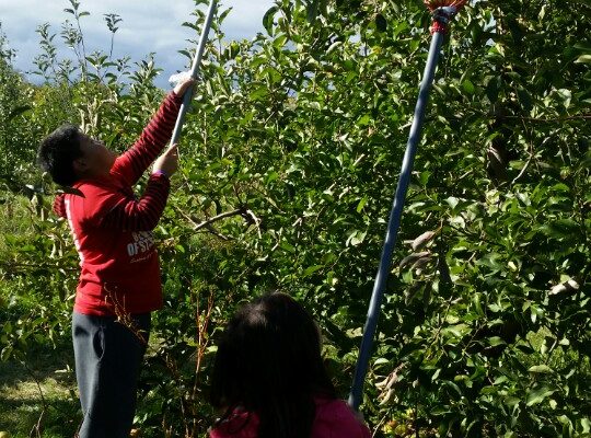 KakaoTalk_20171015_175216918