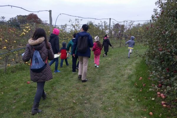 KakaoTalk_20181014_202234524